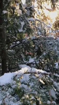 ❄️ زمستان، بهار مؤمن است...