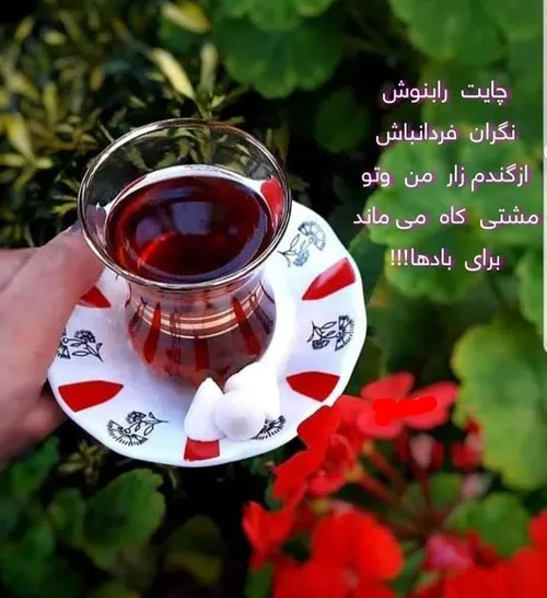 عکس نوشته