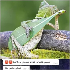 بالایی عکس پروفم*