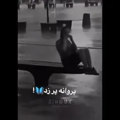 پروانه پر زد از پیله رفت🦋!