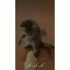 زمانه برعکس شده😂😂😂