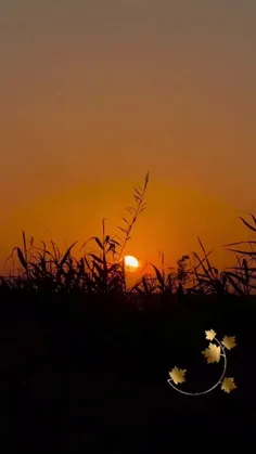 ❣در من .‌..