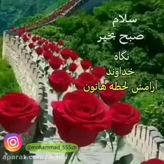 صبحتان پرازمحبت الهی