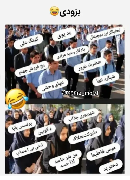 شاخ های مجازی چطورن😂😂