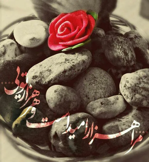 زندگی