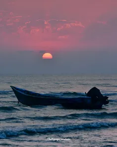 شايد زندگی آن جشنی نباشد