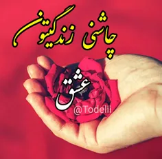 سلامت همیشه فقط