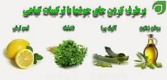 نطرتان چیست که بصورت گیاهی به جنگ جای جوش ها برویم ؟