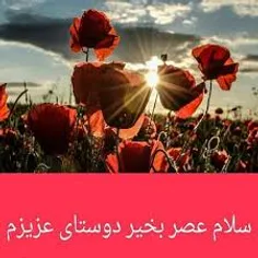 گوناگون ali4811 11262100