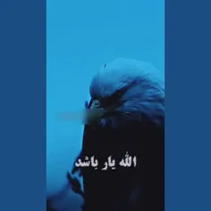 حسبی الله 