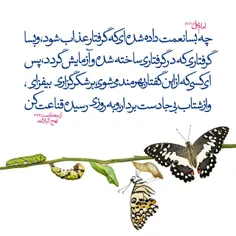 #امام_علی علیه السلام: