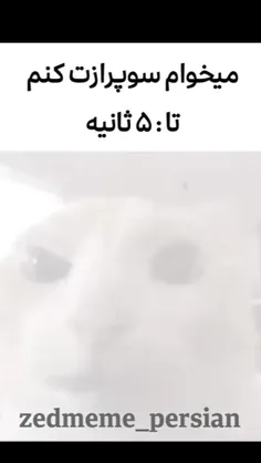 برای دوستان عزیز🗿✋🏻✨