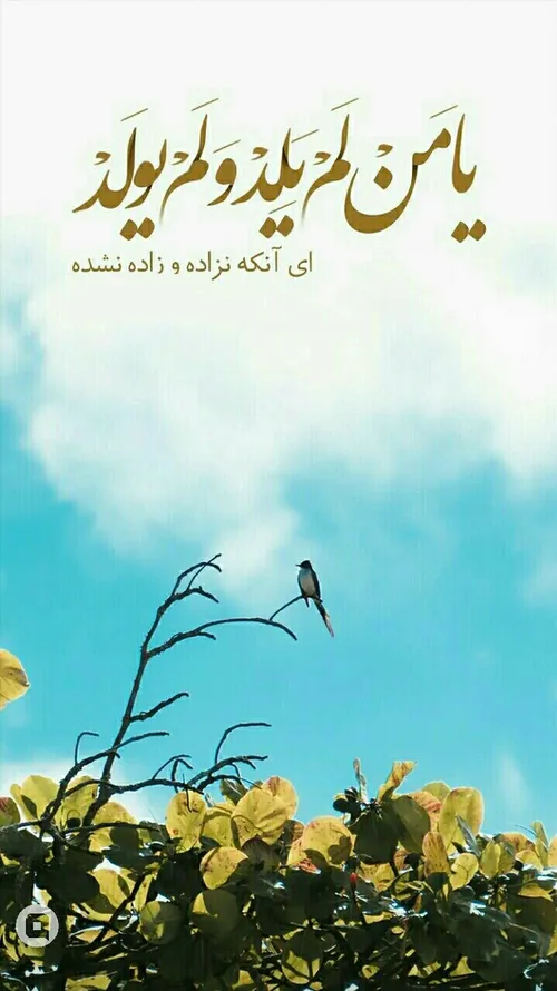 تلنگر مهدوی