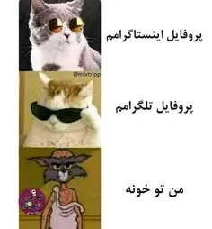 والا به خدا همه همینن😂😂😂😂👌👌