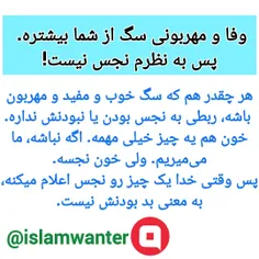 اتفاقا همین ناز و مهربون و با وفا بودن سگ، باعث آسیب دیدن