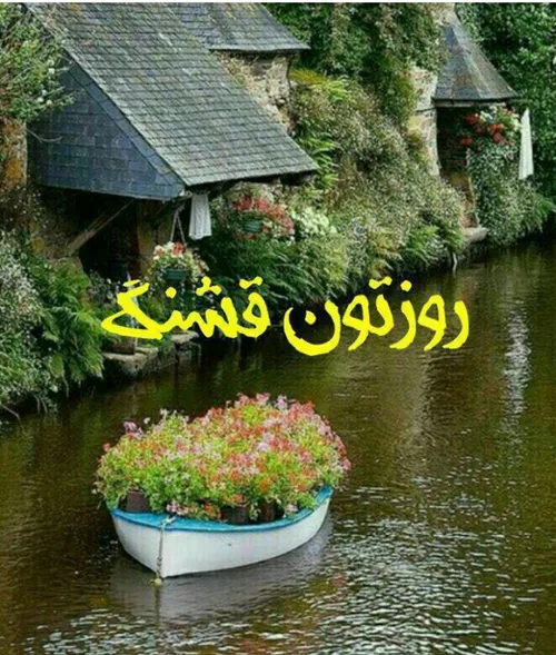 قرار روزانه