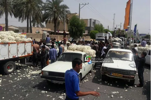 همزمان با حضور رئیس جمهور روحانی در کرمان پیازکاران جیرفت