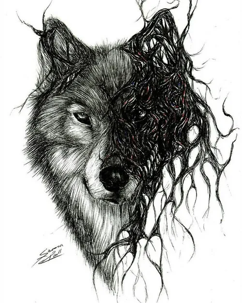 dark wolf wolf dream گرگ سیاه گرگ تخیل