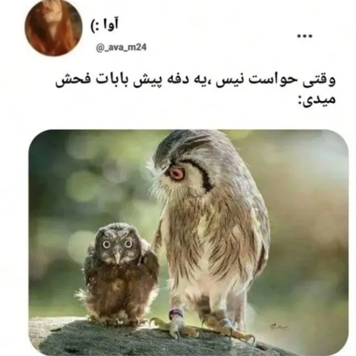 حالا بیا جعمش کن