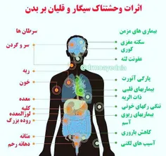 ورزشکاران قلیانی بخوانند