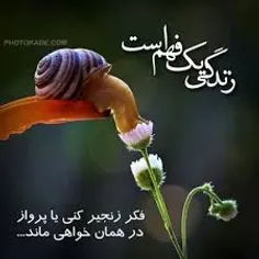 زندگی این است...