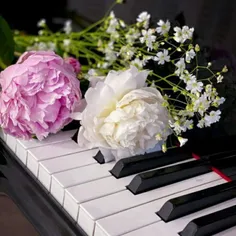 #زیباترین‌آرزوها‌برای‌شما‌خوبان🌼🌈
