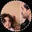 ihaamim_fan