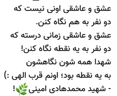 شهید محمد هادی امینی (: