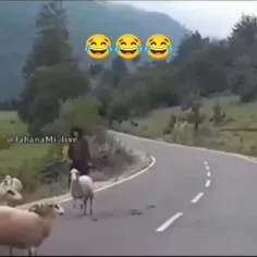 ای بیچاره 😳😳😳😱😱🤣🤣🤣👍👍