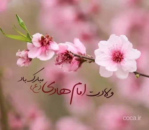 امام هادی