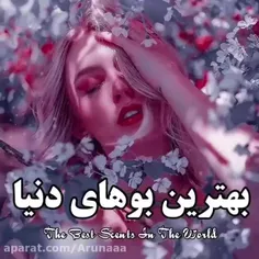 بهترین بو های دنیا؛)💕✨