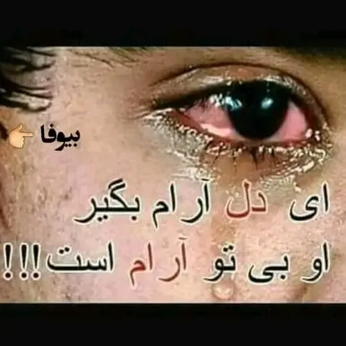  ahkjdg 55404064 - عکس ویسگون