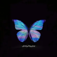 (تو مثل 🦋 ایی) 