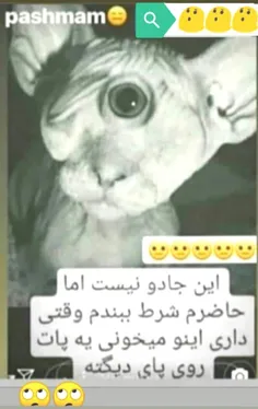 خیلی عجیبه