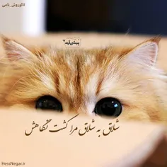 عاشقانه ها bano1994 22601557