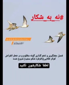 #لایک_فالو_کامنت_یادتون_نره #پستای_قبلم_ببین_خوشت_اومد_فا