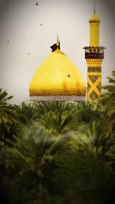 #بسم_الله_الرحمن_الرحيم🎇🖤❤😔🍃🤲🙏