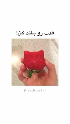 قدت رو بلند کنـ