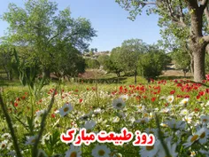 سیزدهتون بدر