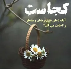 ‌🌱اَینَ المُضطَرُّ الَّذی یُجابُ اِذا دَعی . .