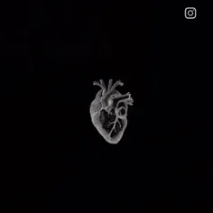 شادمهر#
