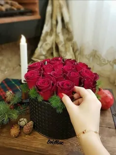 تقدیمی از طرف دنی به همه دوستان ویسم 😍 😘 ❤