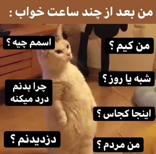 ینگده میم😐