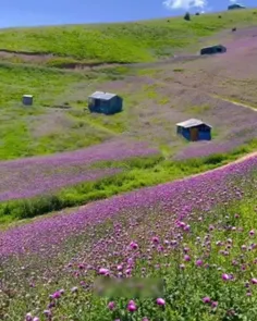 #ایران 🇮🇷 #ایران_زیبا #ایران_عزیز 