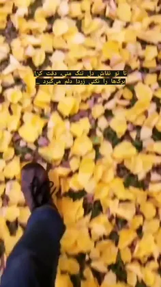 #بدون مخاطب