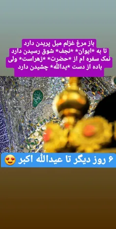 جانم حیدر 💚