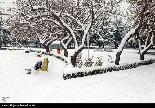 بارش برف در ارومیه