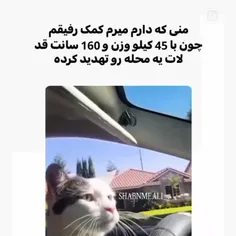 اخه چ کاریه خواهر من🤷😶