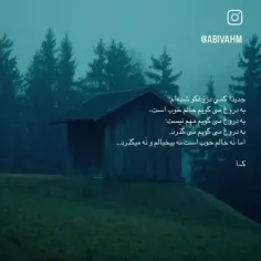 #صدف🦋🌱