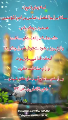 امام زمان(عج):